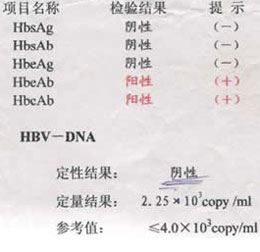 hbv-dna指标是什么意思